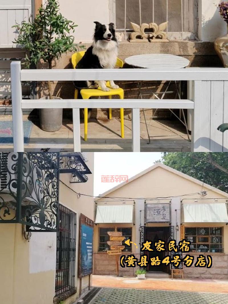 战争之人秘籍最新版：无敌修改方法，轻松体验游戏乐趣！