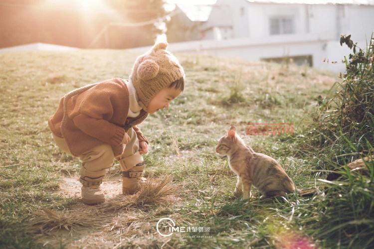 乐乐影音：记录美好瞬间，传递影像力量