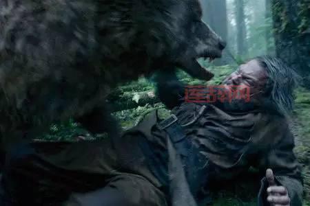 荒野猎人3D下载：探索广阔荒野，寻找稀有猎物！