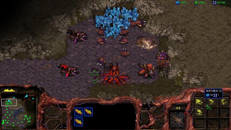 星际争霸1单机版：经典战役重燃战火