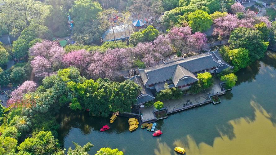 梦幻西游房屋风水：从家徒四壁到紫气东来，一步步提升！