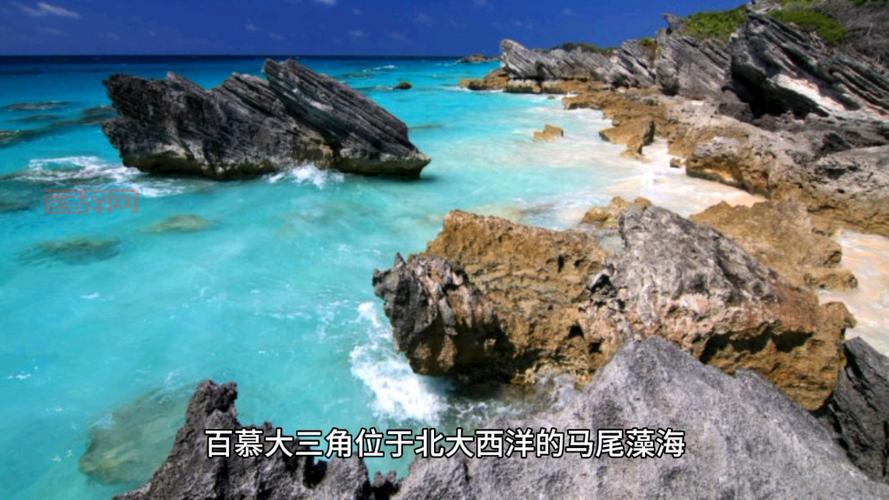 死在百慕大揭秘：空难幸存者如何在百慕大生存