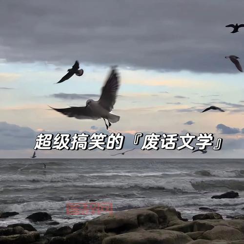 废话文学为什么这么火？分析其成因与流行趋势