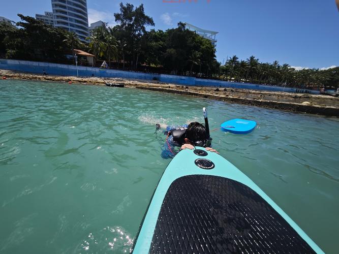 海岛大亨3中文版下载与安装指南，畅享模拟经营乐趣