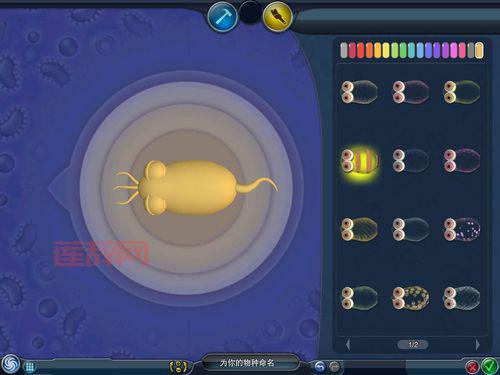 孢子中文版免费下载后怎么玩？新手入门攻略看这里！