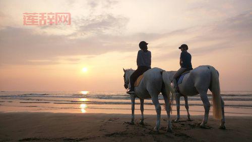 性感海滩2：体验梦幻海滩与极致浪漫的完美结合