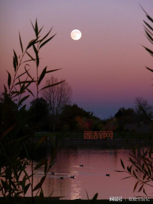 几行红叶树：探寻王士祯诗中的秋日意境