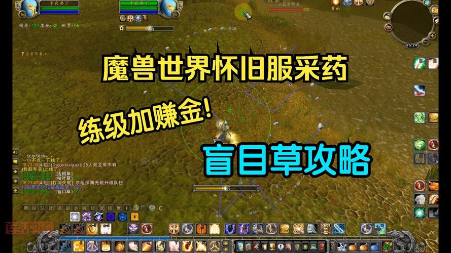 哪里盲目草最多？这几个地方盲目草遍地都是！