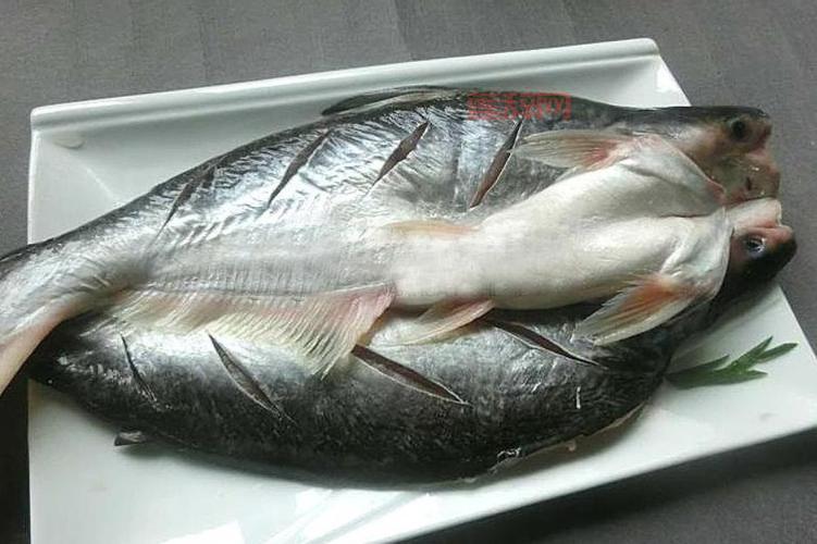 铜盆鱼的营养功效及最佳烹饪方式推荐