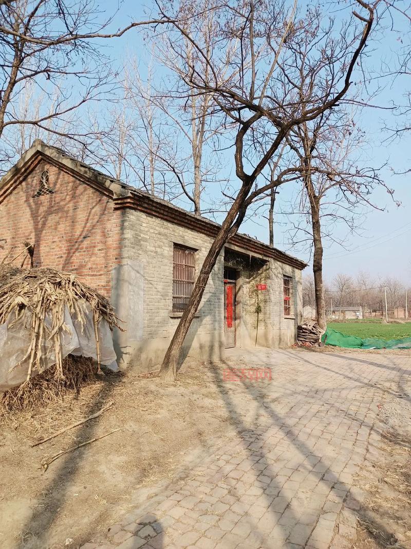 做梦穿越梦幻大唐？不，这是我的真实经历