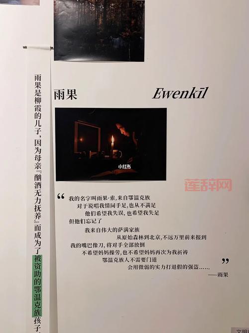 最后的守护者剧情解析：感人至深的冒险故事