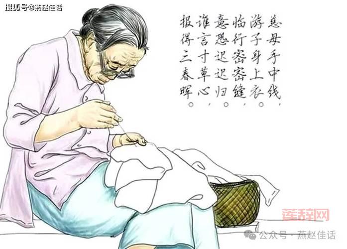 慈母爱子非为报也：探寻母爱的真谛与伟大