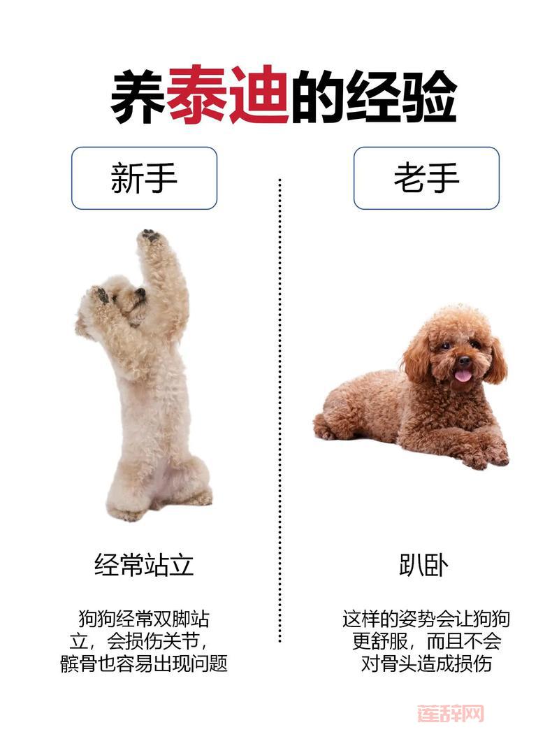 真三国无双5帝国手机版攻略，新手老手都适用！