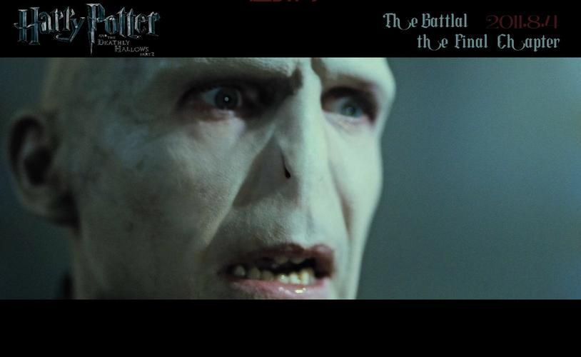 哈利·波特与死亡圣器(下)剧情揭秘与最终对决