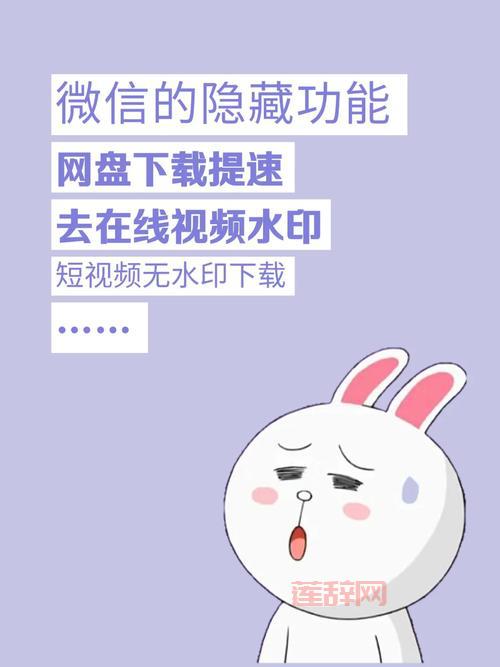 提升下载效率的必备工具：兽兽BT全解析