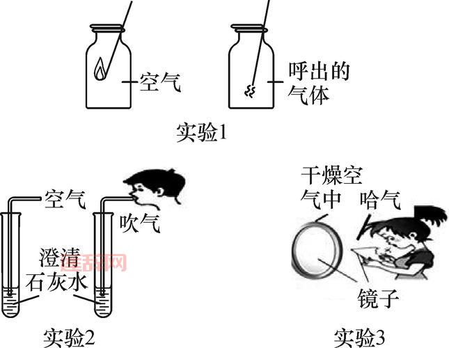 塞尼斯实验室：人体实验与隐藏的秘密
