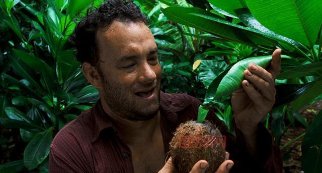 抢椰子大作战：荒岛生存挑战谁能胜出？