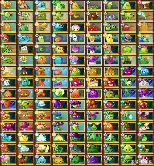 植物大战僵尸2图鉴：全面解析每种植物特性