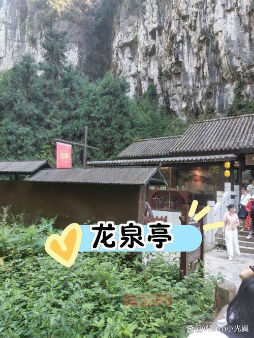 皇后养成计划黑龙攻略：手把手教你达成黑龙夫人结局！