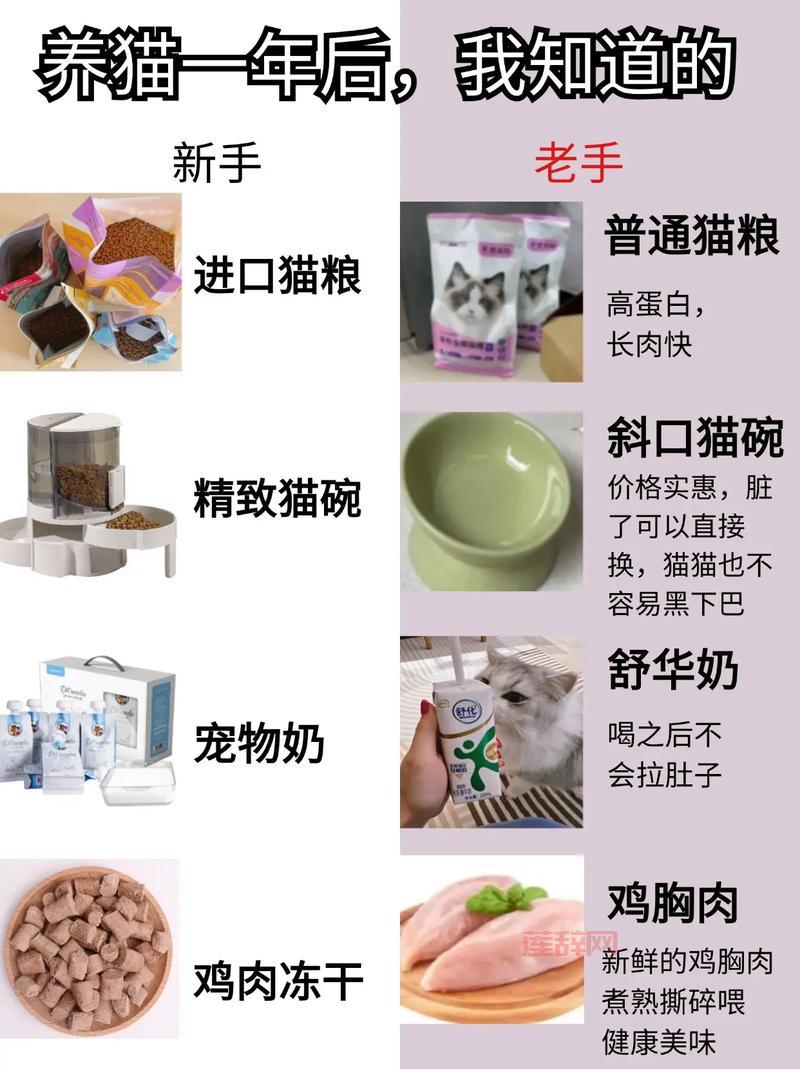 永恒之塔怪物分布图大揭秘！新手老手必看刷怪攻略！