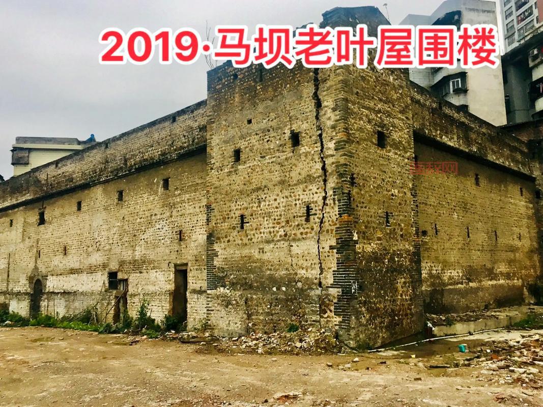 逆水寒此间的老叶找不到？教你一招找到体重下降最快的老叶！