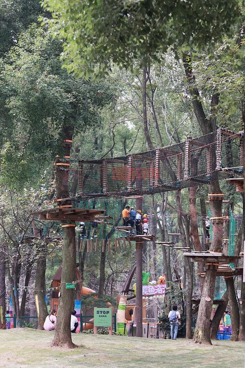 体验独特冒险！乐园RPG带你进入幻想乐园