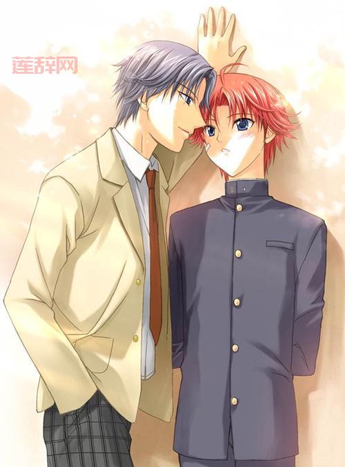 网王守望幸福：跨越次元的温馨之旅