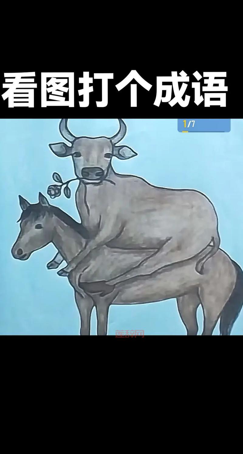 疯狂猜成语红心投篮答案解析：全心投入成语揭秘