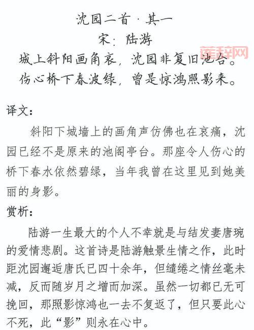 肺渴朝来顿欲苏：解读陆游诗中的养生智慧