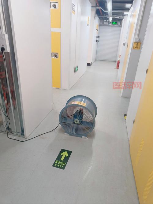 迷你艾力斯和迷你寒冰虎图片首曝，属性外观全方位揭秘！