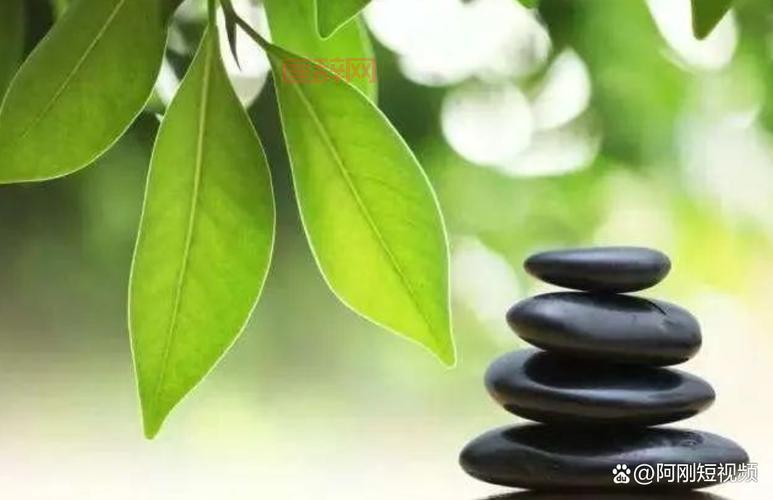 什么是心静如水的意思？探索内心平静的修行之道