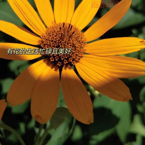 完美的一天：探索1999年最后一天的温情故事与游戏体验