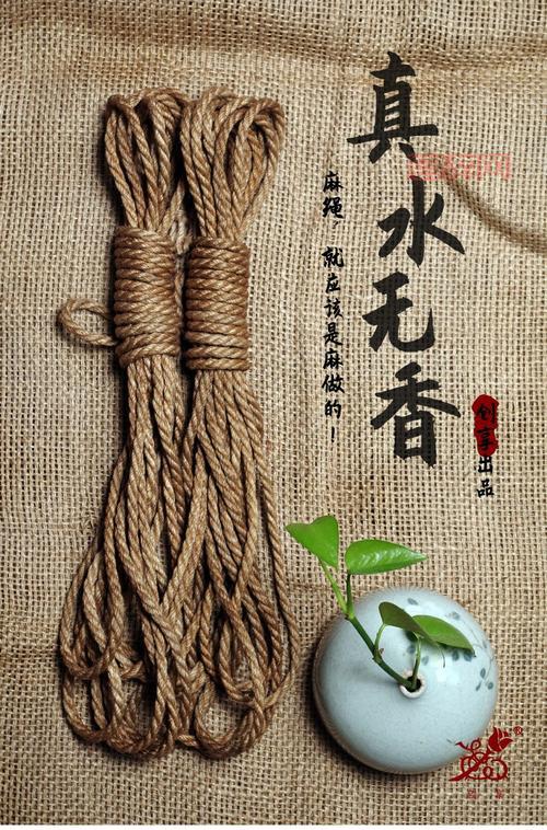 亚洲捆绑是什么意思？深入解析BDSM与游戏梗