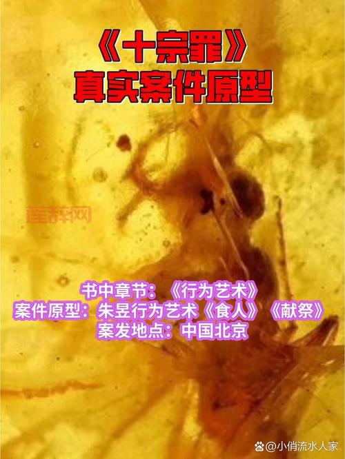 十宗罪7在线阅读全本免费看，真实案件改编太刺激！