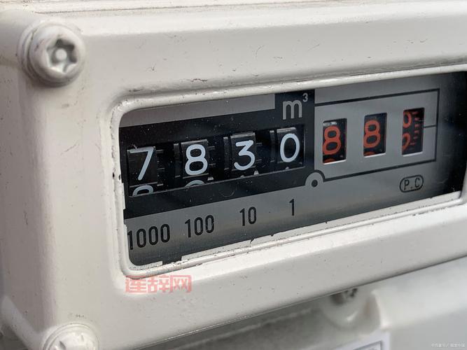 小仓解说最新资讯：热门事件与深度分析