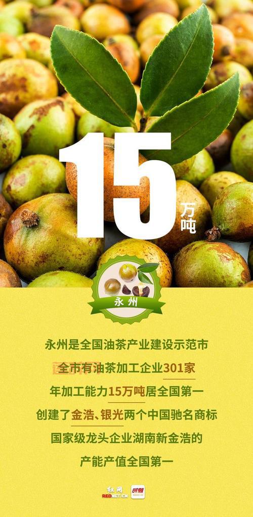 应许之地攻略：战斗与资源管理全解析