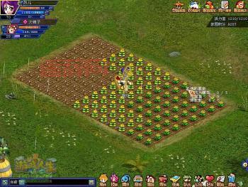 游戏人生网游：打造虚拟人生的创意世界