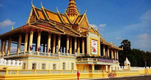 668美妞论坛怎么找？这里有最全的入口！