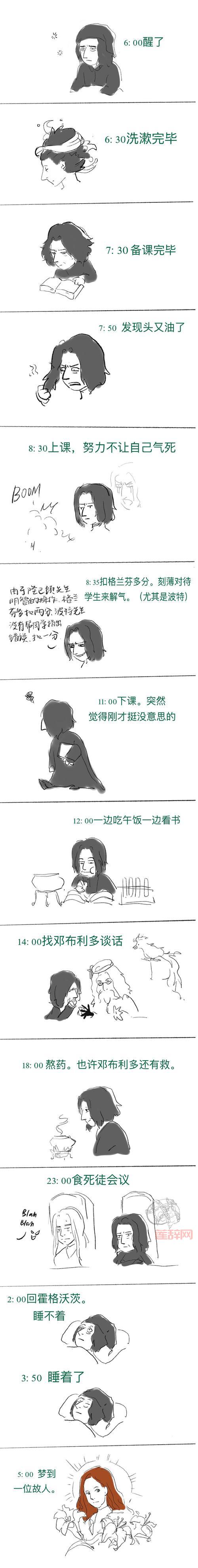 三个斯内普有什么区别？这篇文章详细解读！