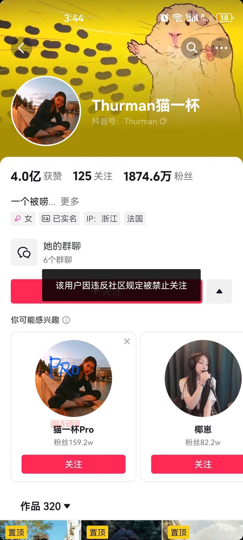 mediaring talk好用吗？真实用户反馈分享！
