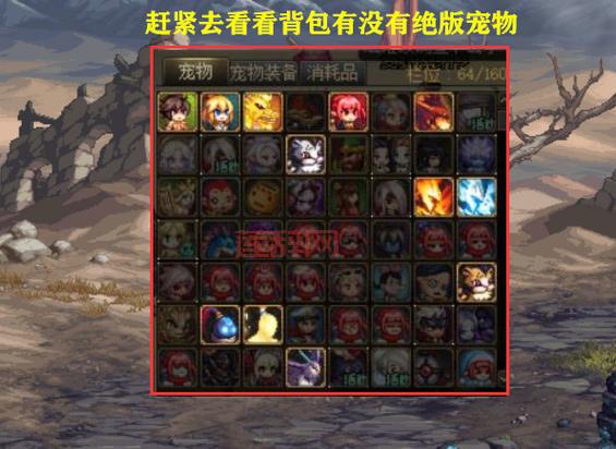 dnf宠物封印胶囊