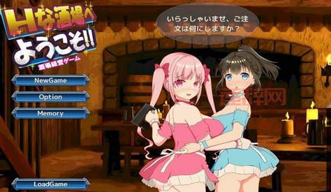 h单机游戏有哪些？盘点那些年我们一起追过的h游戏！