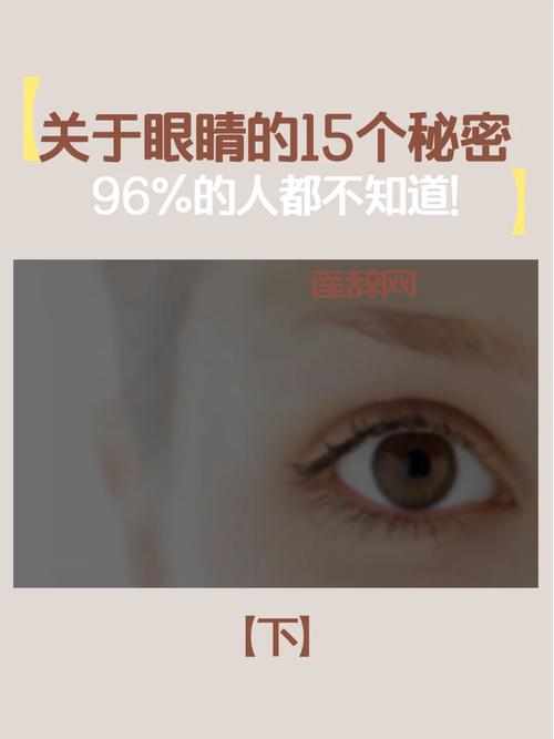 想知道潘甜甜手机的秘密？这篇全方位解析！