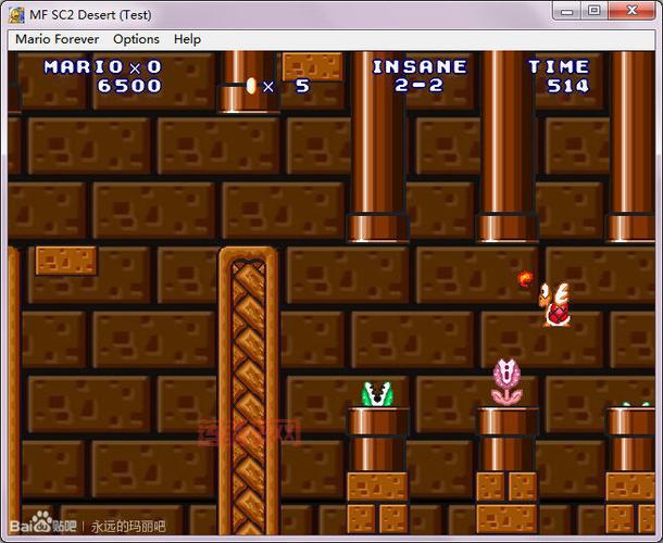 永远的超级玛丽秘籍怎么用？看完这篇就会了！