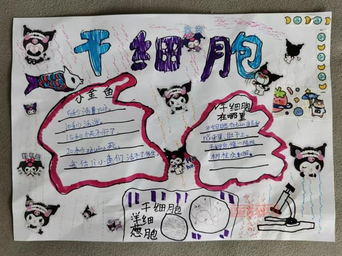 什么是完美细胞？一文带你了解它的秘密！