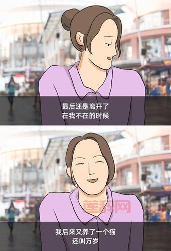 敌人的力量后续大结局预测，谁才是最终赢家？