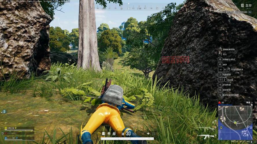 游戏截图保存在哪里？快速找到你的游戏美图！