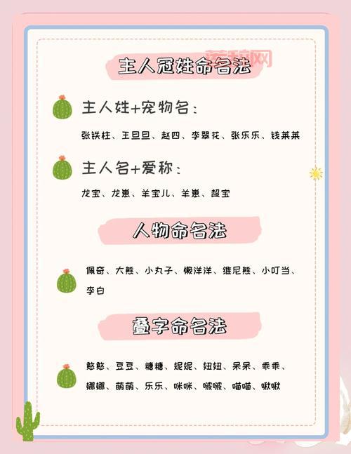 猫咪最新永久地域网名更新啦！铲屎官们看过来！