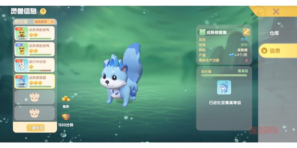 摩尔庄园火烈鸟怎么获得？手把手教你抓到它！