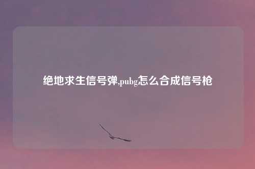 绝地求生信号弹,pubg怎么合成信号枪